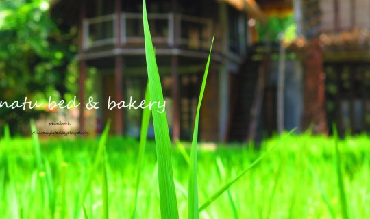 cover "ทะเลสีฟ้า ทุ่งนาสีเขียว 1 เดียวในปราน ที่ La a natu bed & bakery"