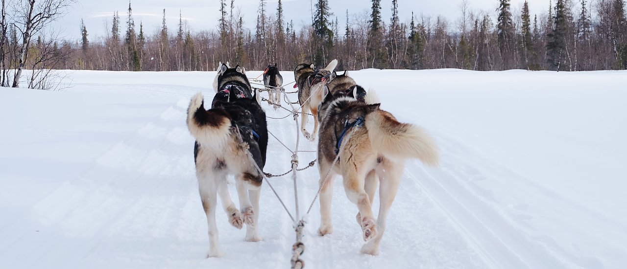 cover RUSSIA EP.1 ล่าแสงเหนือที่เมือง Murmansk กันเถอะ!