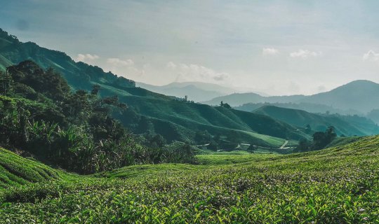 cover A Solo Fun Trip to Malaysia -  5 days 4 nights Backpacking & Taking Train to Penang - Cameron Highlands - Kuala Lumpur