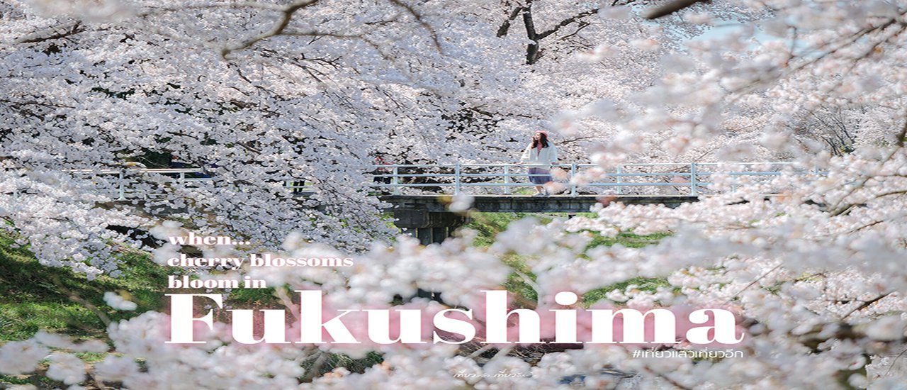 cover 🌸🌸 7 จุดชมดอกซากุระ จังหวัด Fukushima ที่สวยสุดๆ
