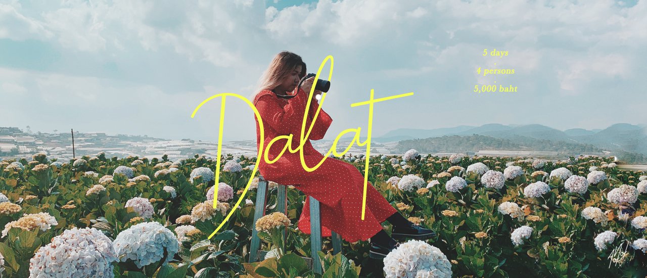 cover ดาลัท 5 วัน 5,000 l กิน เที่ยว ถ่ายรูป ปาร์ตี้ อากาศดี เที่ยวปีนี้ลงรูปได้ยันปีหน้า!!