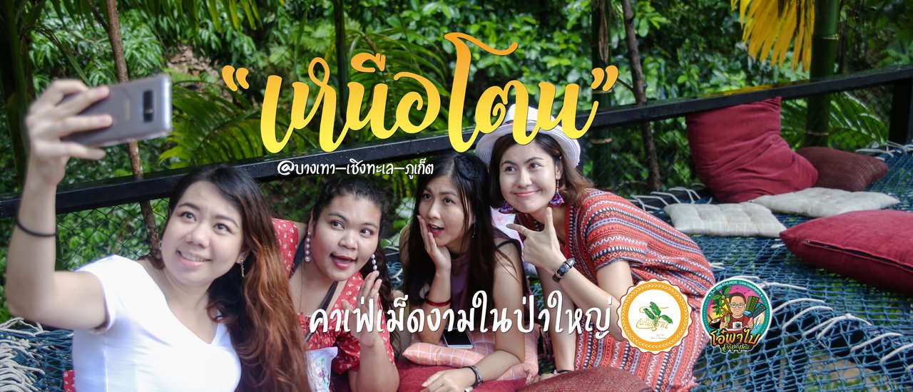 cover "เหนือโตน" สูดอากาศให้เต็มปอด กับคาเฟ่เม็ดงามในป่าใหญ่