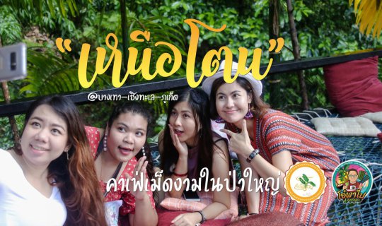 Cover "เหนือโตน" สูดอากาศให้เต็มปอด กับคาเฟ่เม็ดงามในป่าใหญ่...