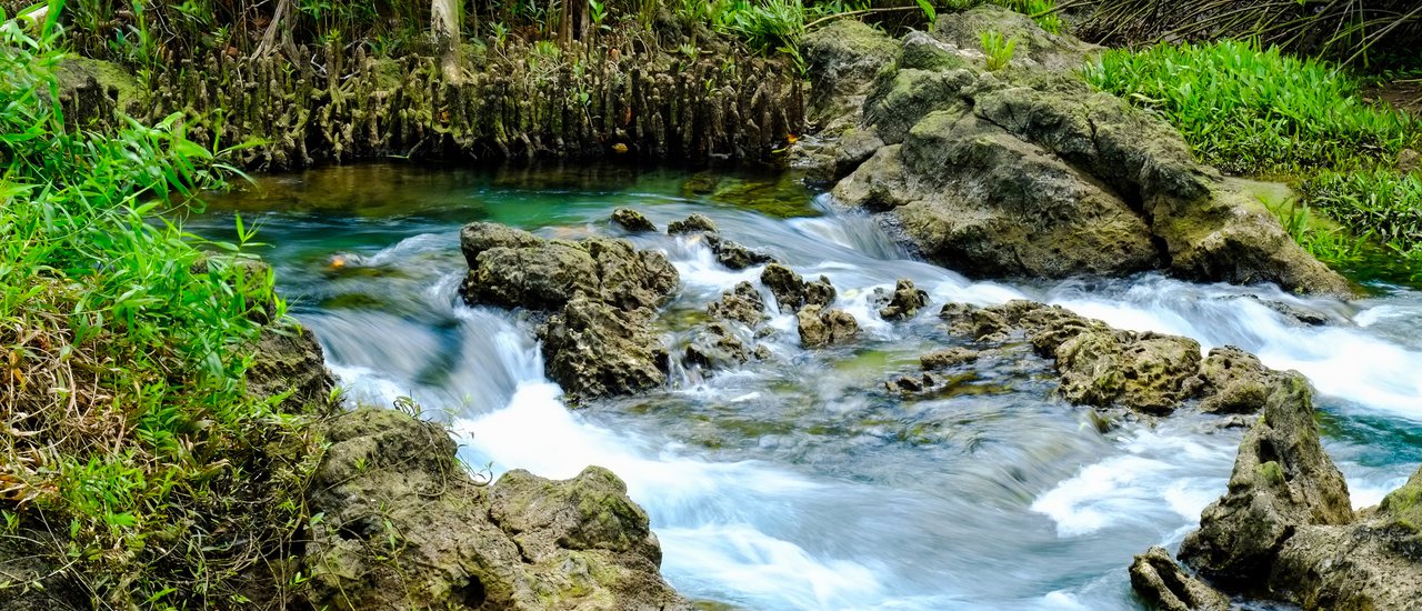 cover Tha Pom Klong Song Nam… The Miracle of River and Forest