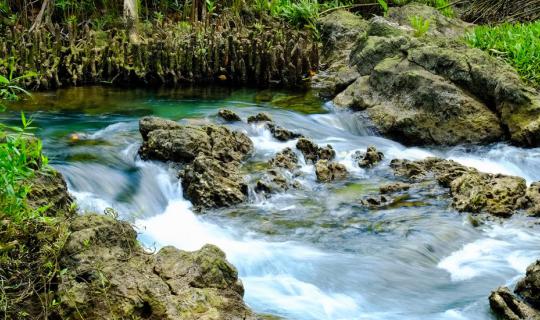 cover Tha Pom Klong Song Nam… The Miracle of River and Forest