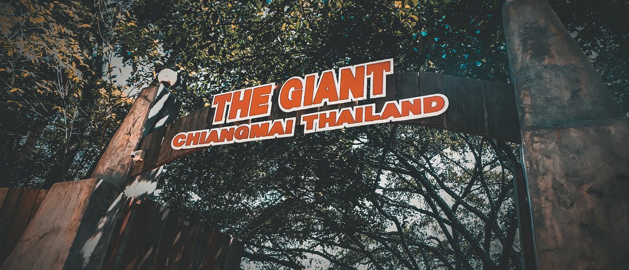 cover #ตูนนี่พาไปชิลล์     THE GIANT CHIANGMAI ร้านกาแฟบนต้นไม้