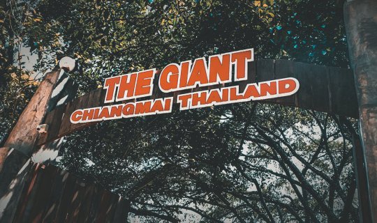 cover #ตูนนี่พาไปชิลล์     THE GIANT CHIANGMAI ร้านกาแฟบนต้นไม้