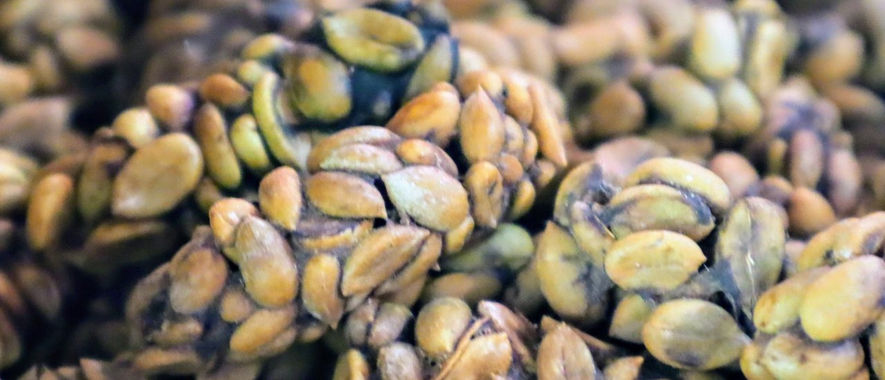 cover SUPER WEASEL COFFEE IN CHUMPHON