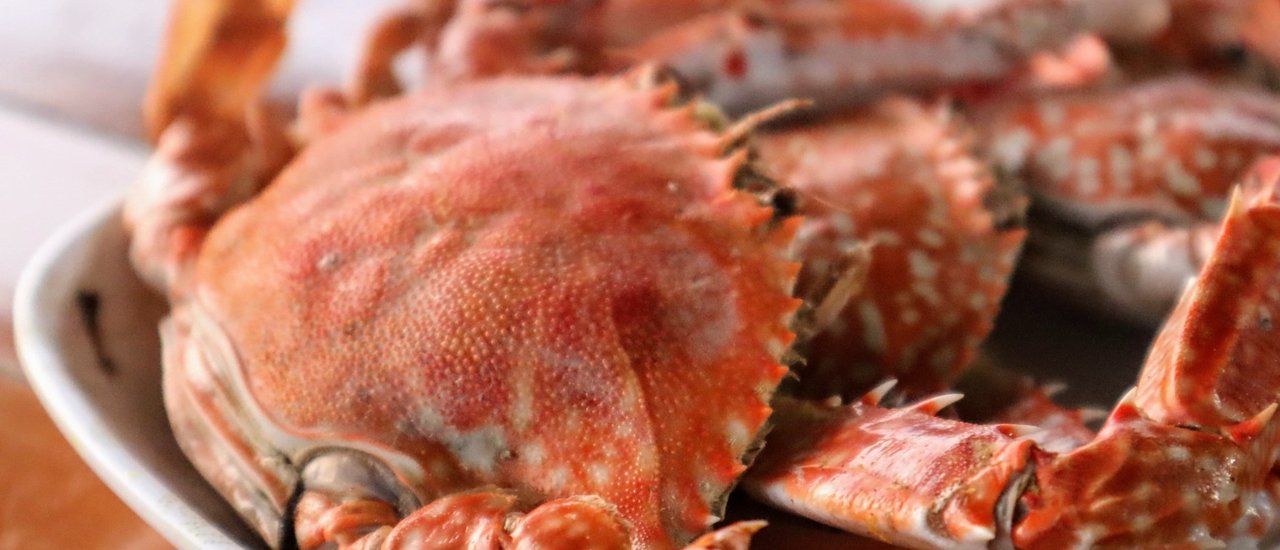 cover THE FRESHEST SEAFOOD, CHUMPHON