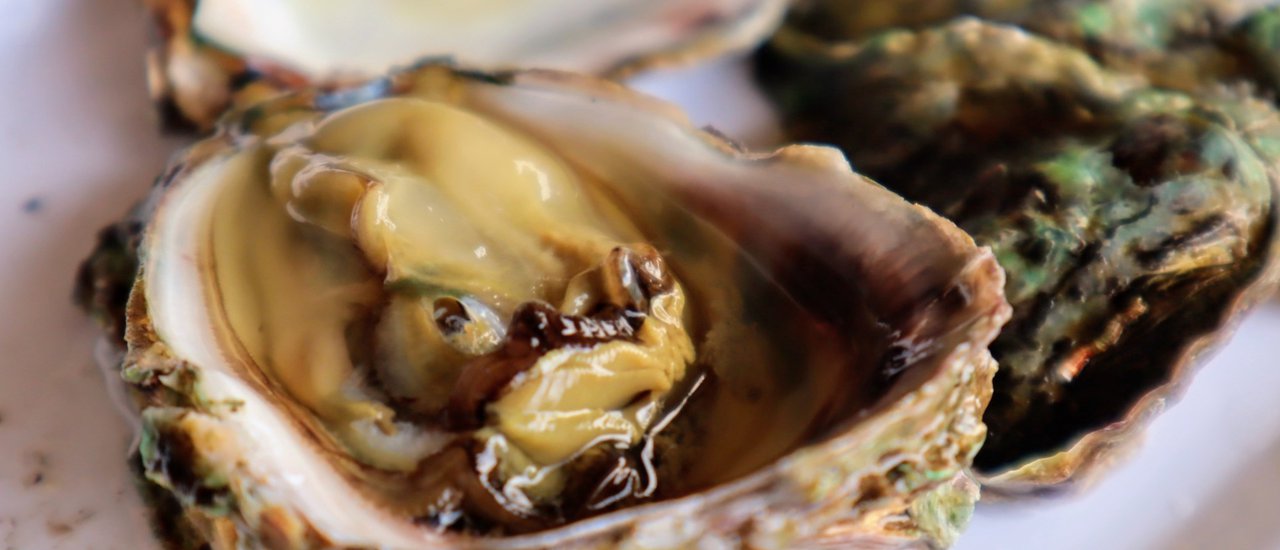 cover COTTAGE BY THE RIVER ‘RUANMAI PLAI NAM’, CHUMPHON