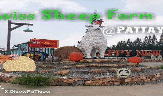 Cover เดี๋ยวพาเที่ยว : Swiss Sheep Farm Pattaya...
