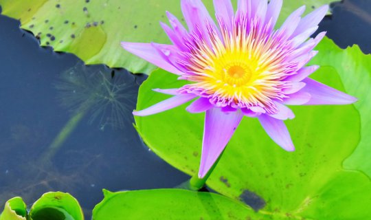 Cover สกลนคร..เที่ยวไหน ปักหมุดไว้เลย...