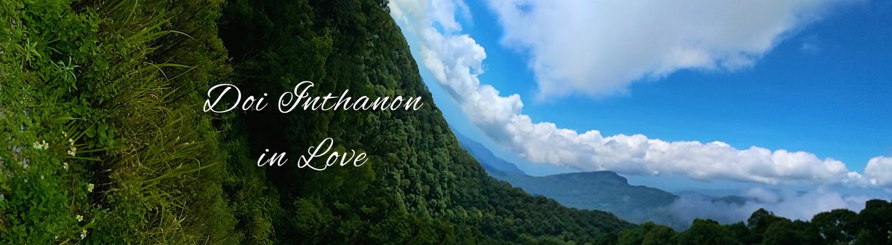 cover Doi Inthanon In Love^^
