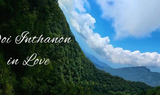 cover Doi Inthanon In Love^^