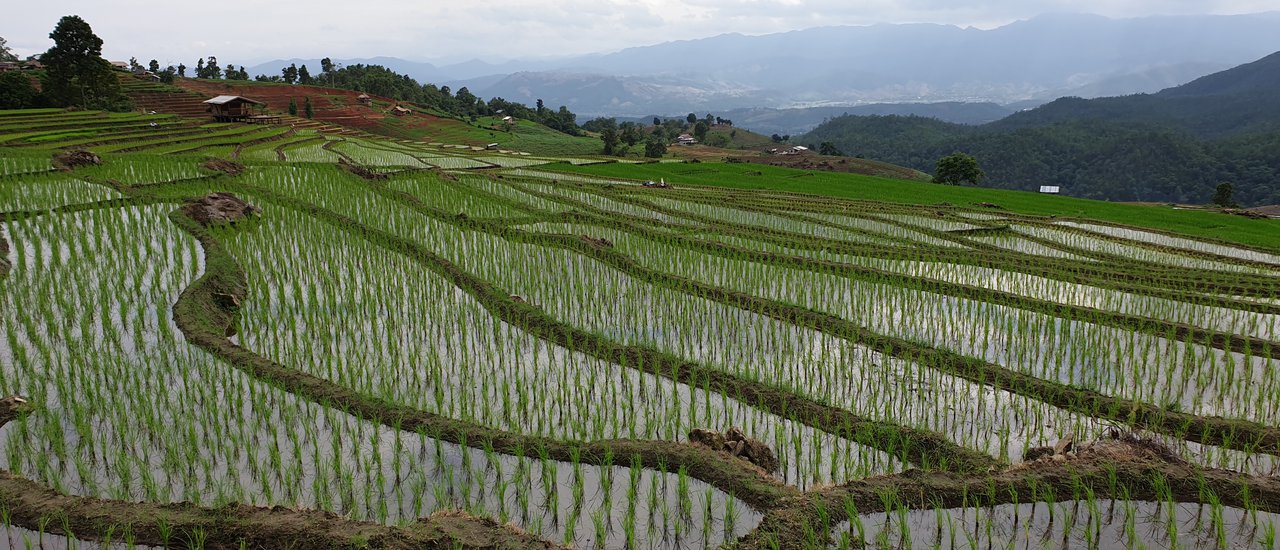 cover One Day Trip : Baan Pa Bong Piang,Chiang Mai