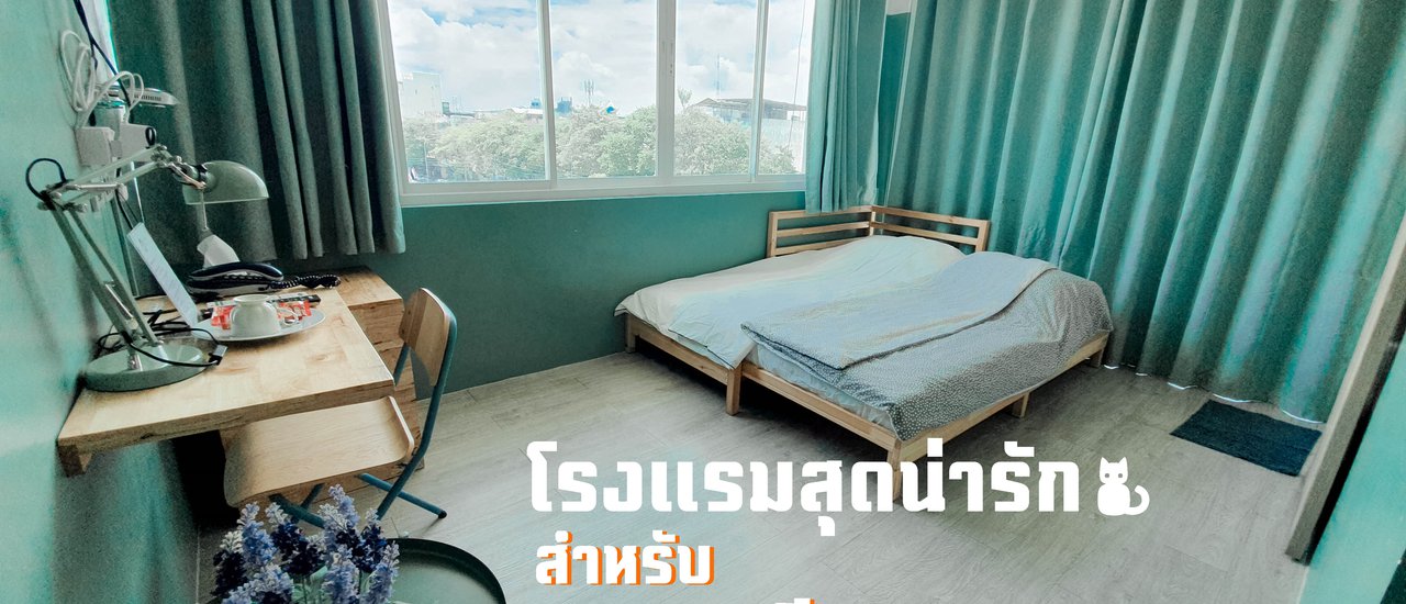 cover โรงแรมสุดน่ารัก ของทาสแมวเหมียว🐱 @Vet 4 Animal Hospital