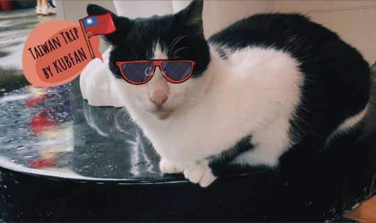 Cover ทริปไต้หวันฉบับกับแฟน part 2...