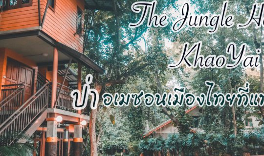 Cover The Jungle House ,KhaoYai ป่าอเมซอนเมืองไทยที่แท้ทรู (พัก กิน เที่ยว...