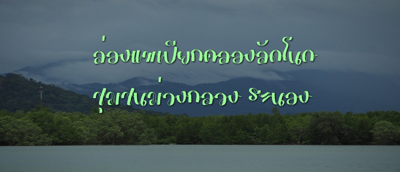 cover ล่องแพเปียกคลองลัดโนด