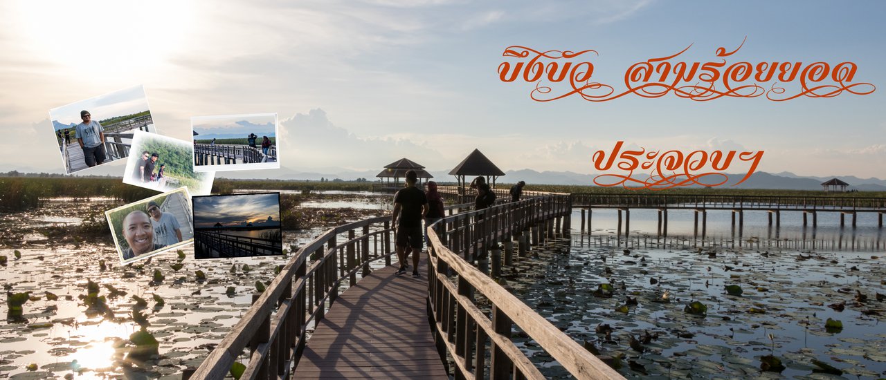 cover บึงบัวสามร้อยยอด(วันที่บัวแพ้กก)