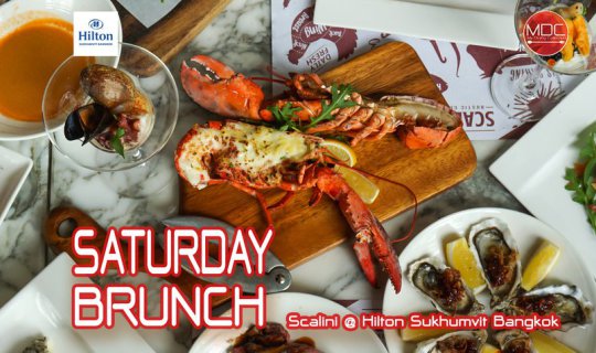 cover [แจกลิ้งส่วนลดหนักๆ] พรีเมี่ยมสุดๆ วัตถุดิบหลักหมื่น ในราคาหลักพัน!! Scalini Saturday Brunch - Scalini @ Hilton Sukhumvit Bangkok