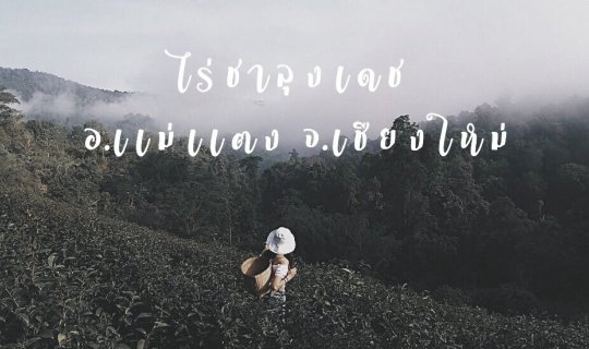 profile cover
