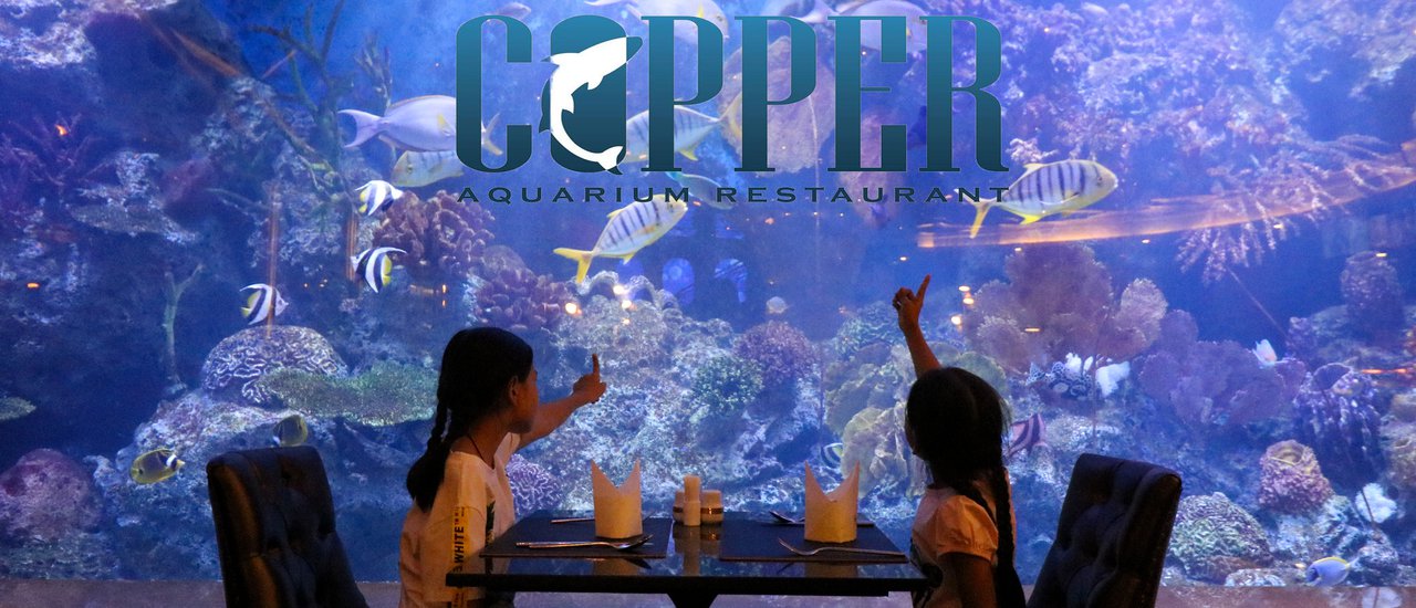 cover รีวิว บุฟเฟต์บรรยากาศใต้ท้องทะเล ที่ Copper Aquarium Restaurant