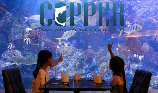 cover รีวิว บุฟเฟต์บรรยากาศใต้ท้องทะเล ที่ Copper Aquarium Restaurant