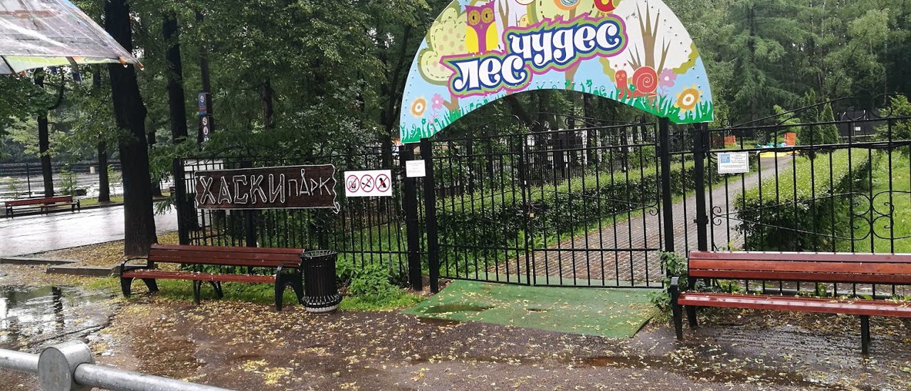 cover Izmailovsky Market + Husky Park