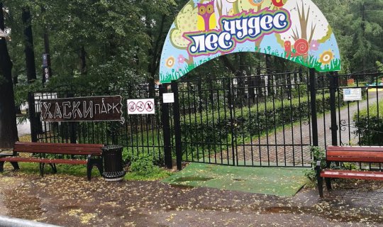 cover Izmailovsky Market + Husky Park