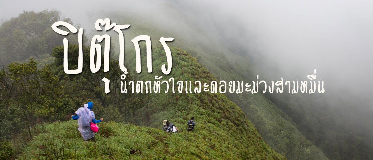 cover ..."ปิตุ๊โกร"...ทริปเดินป่า ตามหาหัวใจ แล้วไปพิชิตยอดดอยมะม่วงสามหมื่น(ถ้วน)