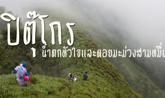 cover ..."ปิตุ๊โกร"...ทริปเดินป่า ตามหาหัวใจ แล้วไปพิชิตยอดดอยมะม่วงสามหมื่น(ถ้วน)