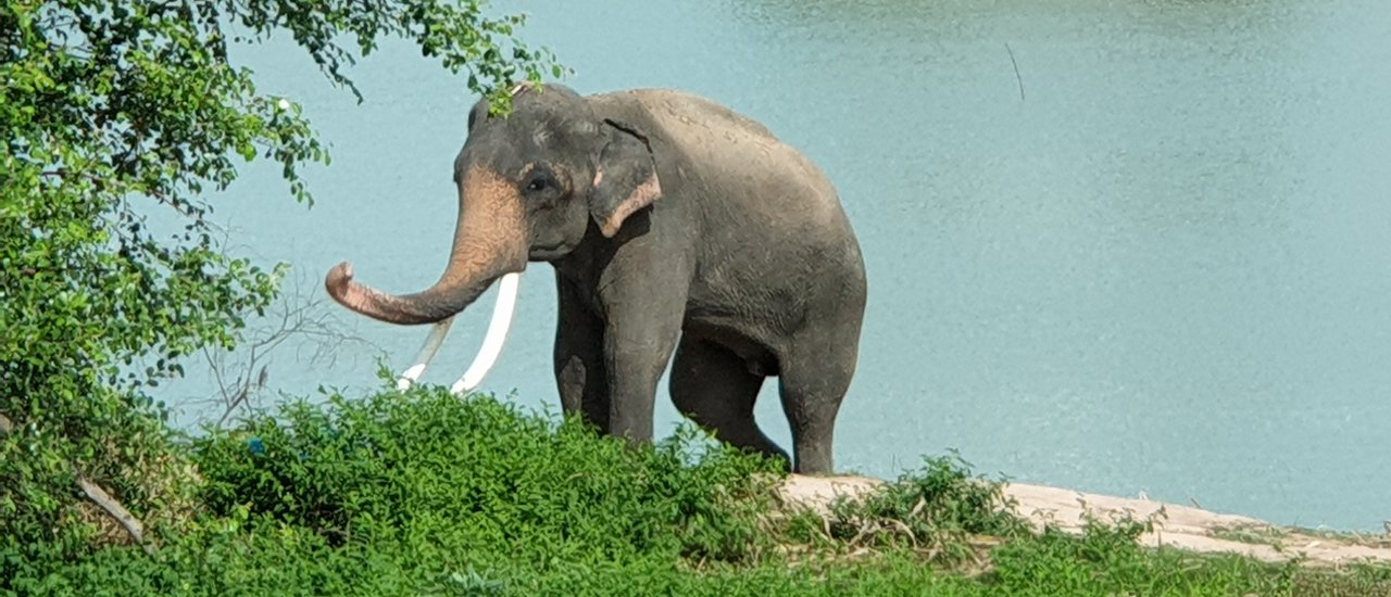 cover 3 Days 2 Nights Isan Exploring