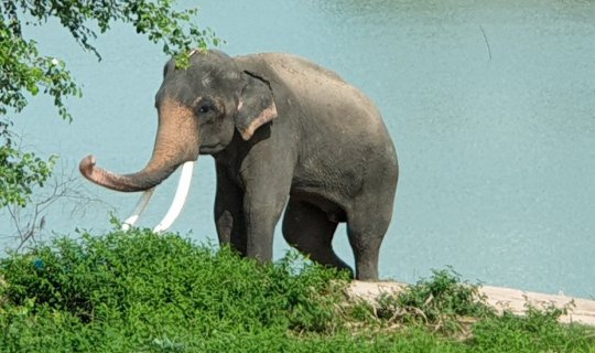 Cover 3 Days 2 Nights Isan Exploring...