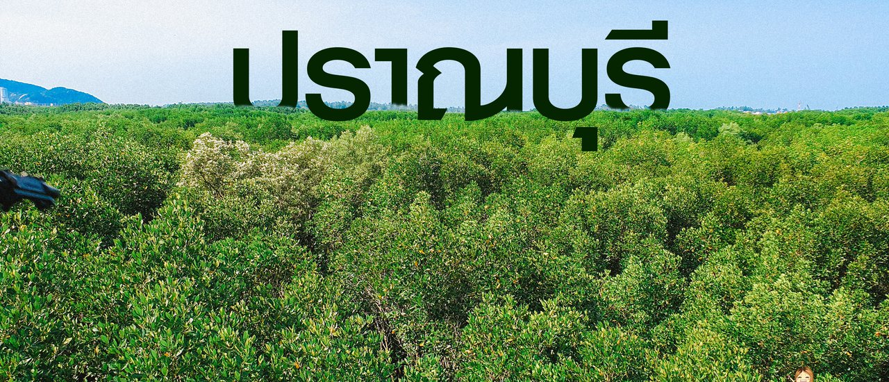cover ปราณบุรี มีดีกว่าที่คิด กดดูสักนิดแล้วจะเข้าใจ ลากแฟนไป ศูนย์ศึกษาเรียนรู้ระบบนิเวศป่าชายเลน สิรินาถราชินี