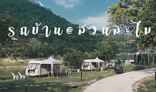 profile cover