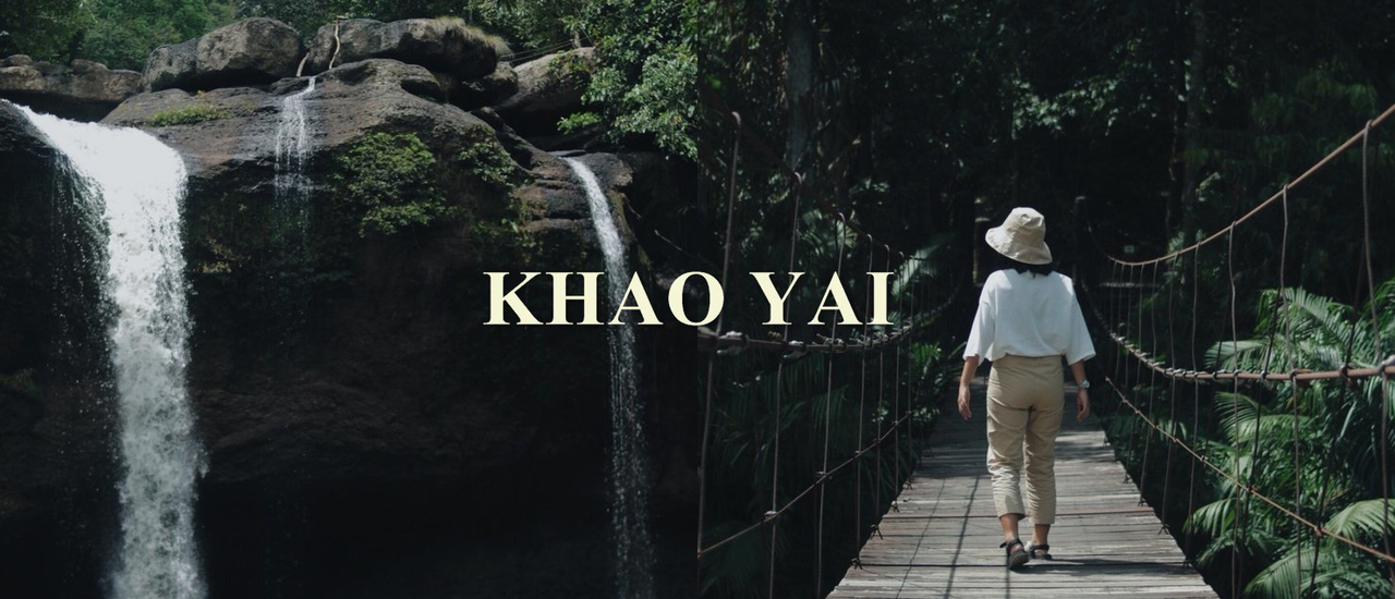 cover กางเต็นท์ นอนดูกวาง ที่ลำตะคอง  อุทยานแห่งชาติเขาใหญ่