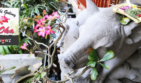 cover มาบาหลีก็ต้องมาลองหมูหันเจ้าดังที่ Warung Babi Guling Ibu Oka, Ubud, Bali, Indonesia