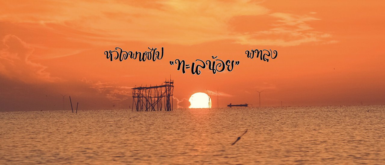 cover หัวใจพาเซไป ทะเลน้อย พัทลุง