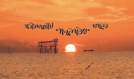 cover หัวใจพาเซไป ทะเลน้อย พัทลุง