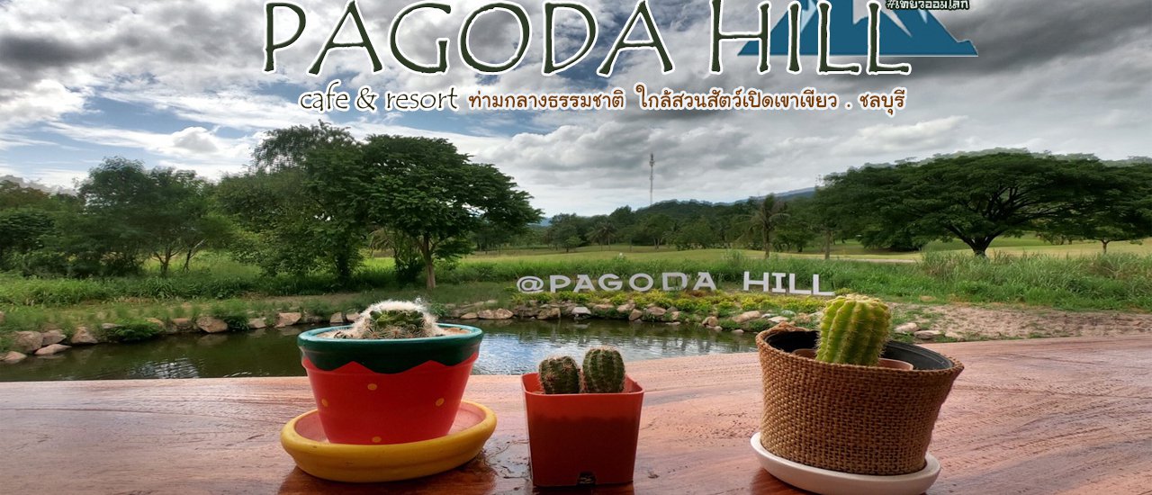 cover Pagoda Hill Cafe & Resort คาเฟ่ท่ามกลางธรรมชาติ ใกล้สวนสัตว์เปิดเขาเขียว ชลบุรี