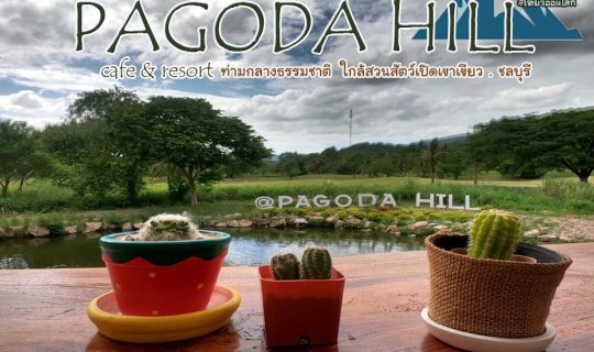 cover Pagoda Hill Cafe & Resort คาเฟ่ท่ามกลางธรรมชาติ ใกล้สวนสัตว์เปิดเขาเขียว ชลบุรี