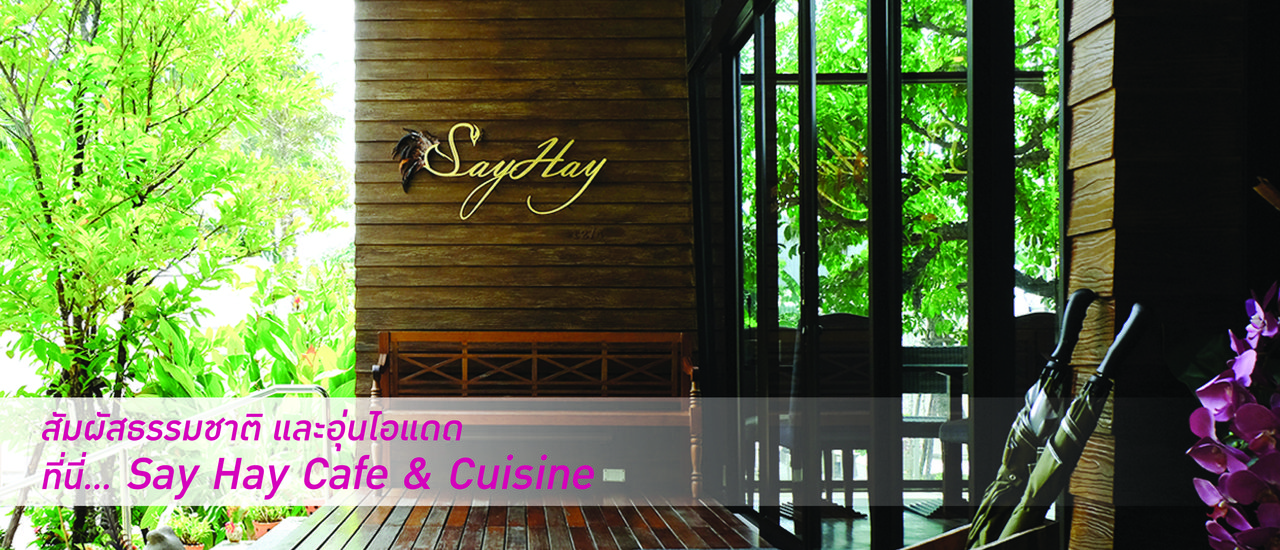 cover ตามใจเจ้ >> ชวนไปดื่มด่ำธรรมชาติ ที่ Say Hay Cafe & Cuisine