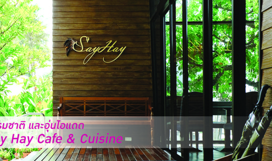 cover ตามใจเจ้ >> ชวนไปดื่มด่ำธรรมชาติ ที่ Say Hay Cafe & Cuisine