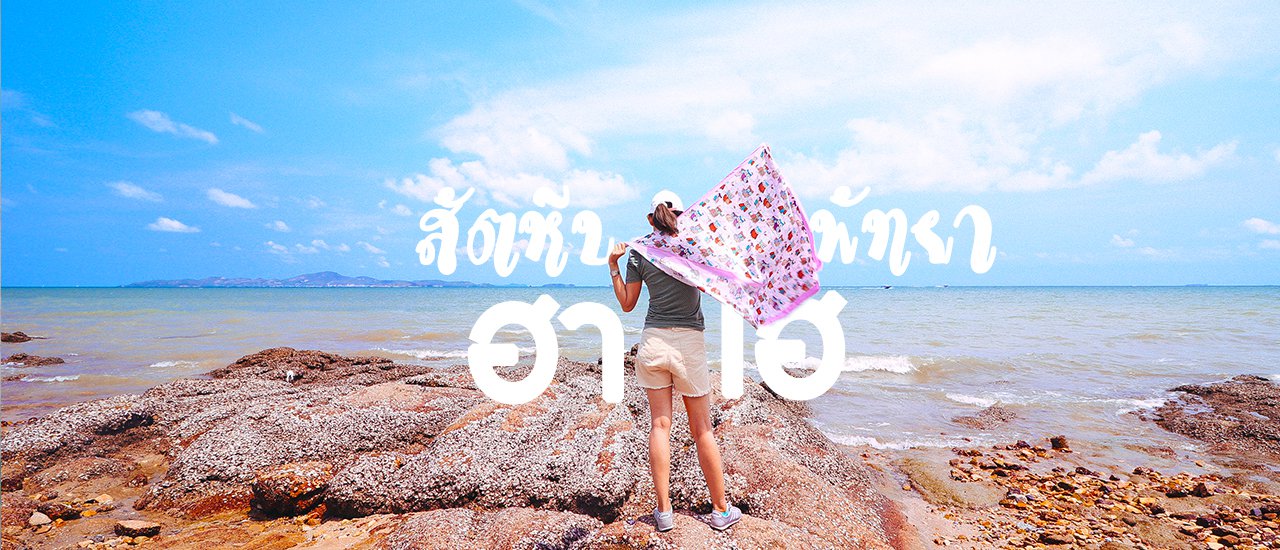cover เที่ยวสัตหีบ-พัทยาฮาเฮ 3 วัน 2 คืน ชมพลุริมทะเล ชิลๆ กินอาหารทะเล ถ่ายรูปที่หาดน้ำใส