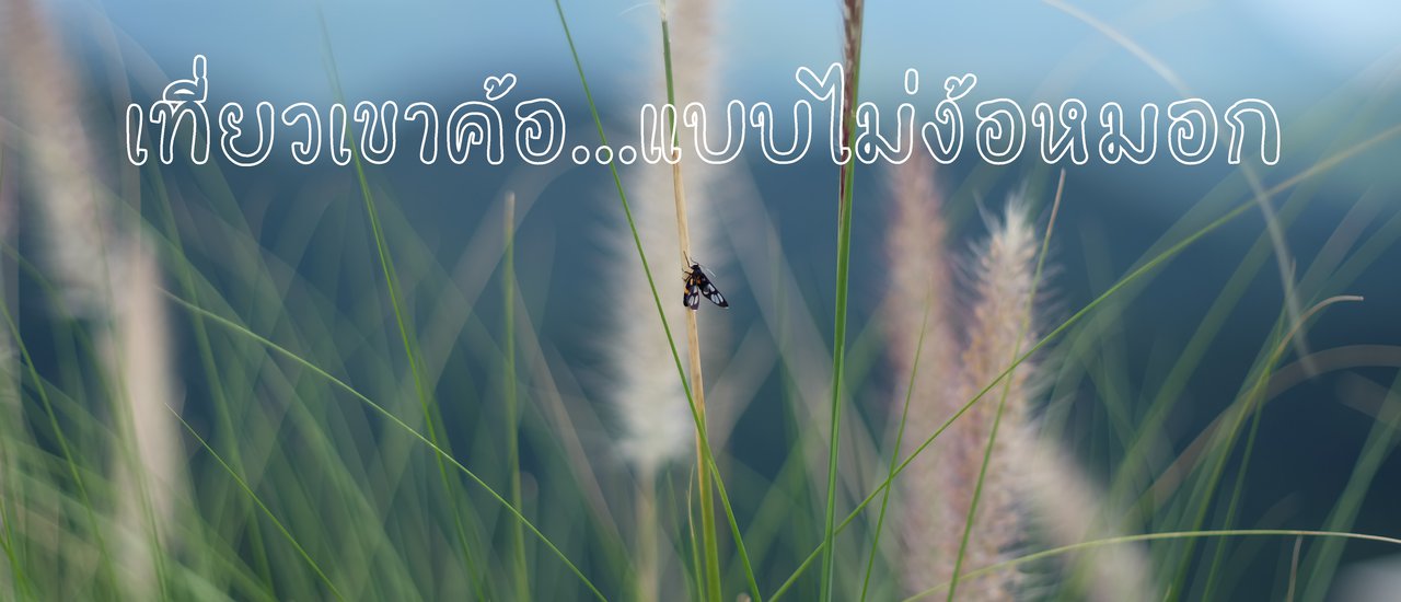 cover เขาค้อ ไม่ง้อหมอก แต่เกรงฝน