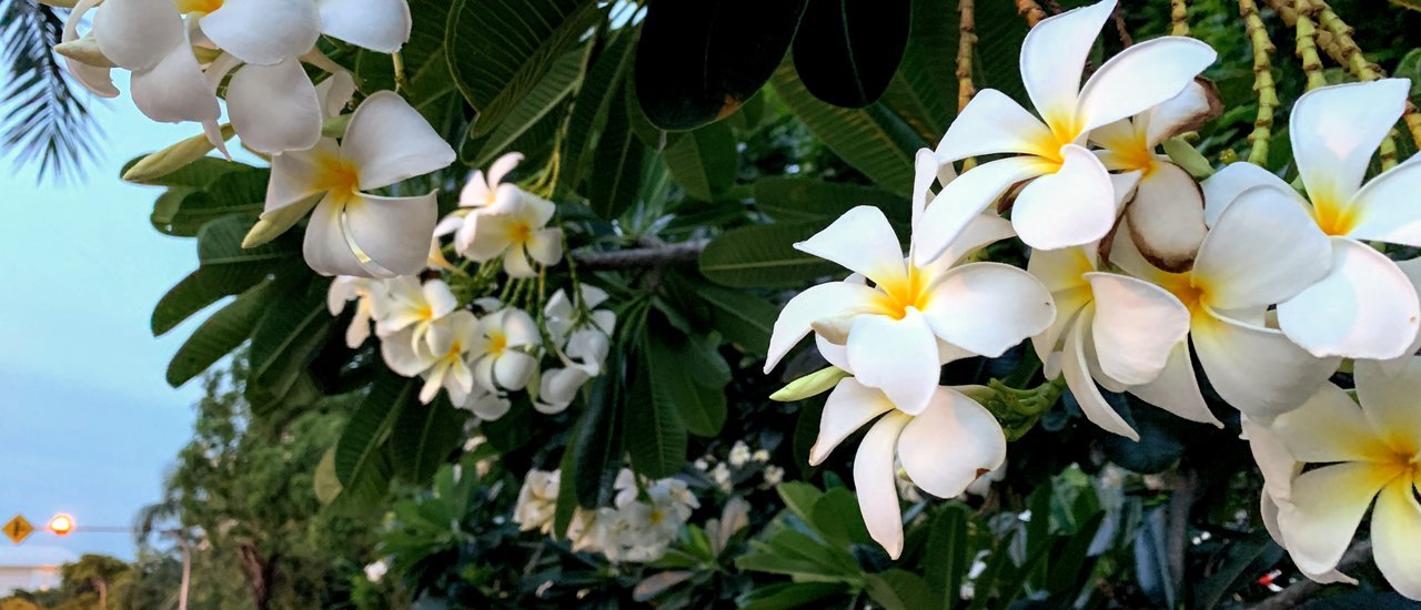 cover Exploring Phetchaburi Province (Tham Rong Community)