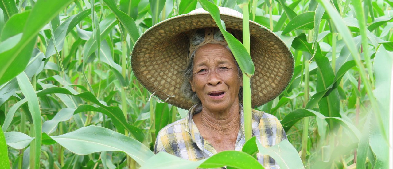 cover When I was A Farmer in Ayutthaya