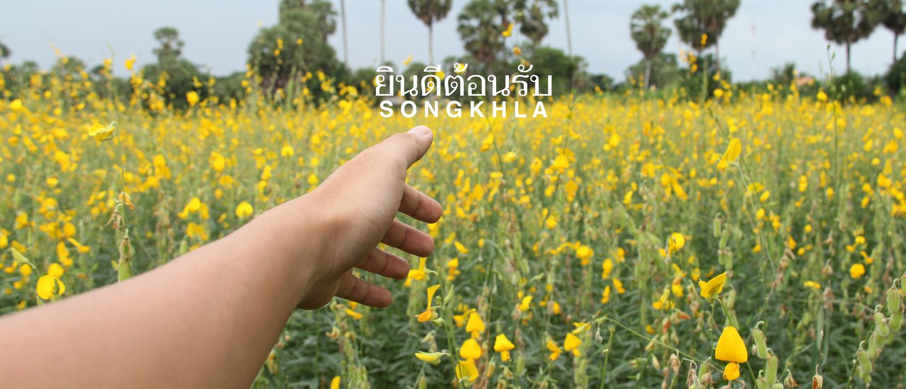 cover (FULL BLOG) Live in Harmony: SONGKHLA Southern of Thailand