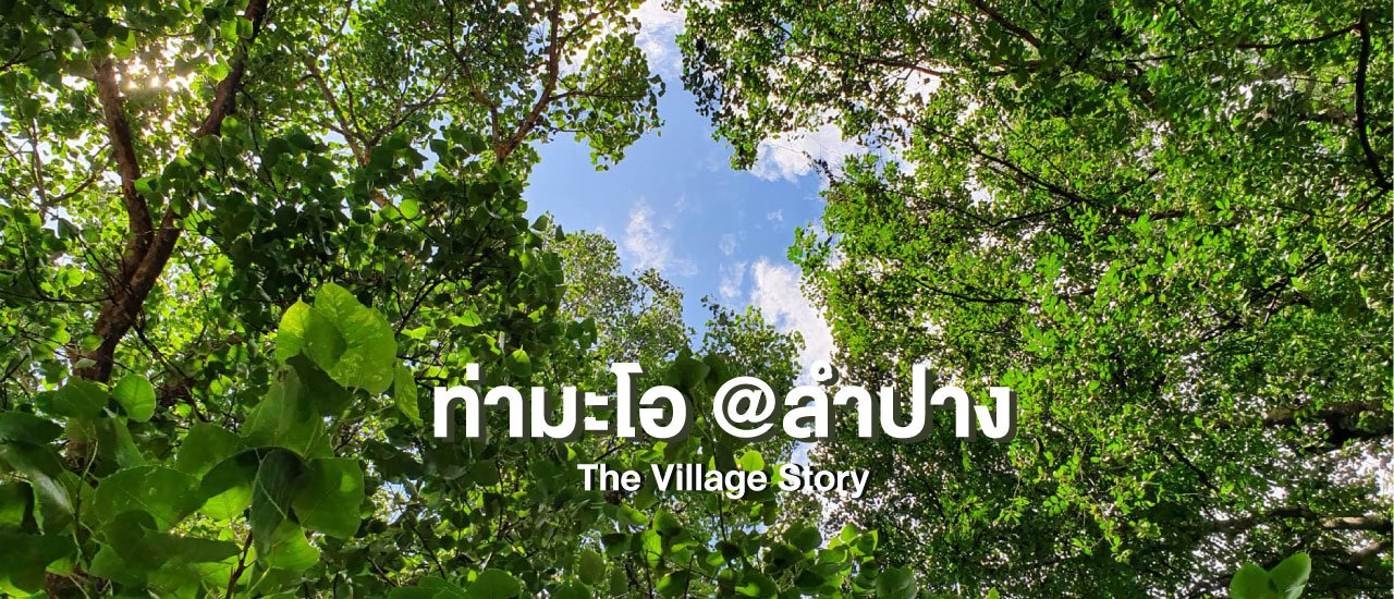 cover "ท่ามะโอ" ชุมชนแห่งความอบอุ่น (Day 1)